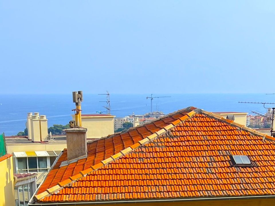 Villa i Beausoleil, Alpes-Maritimes - foto 1